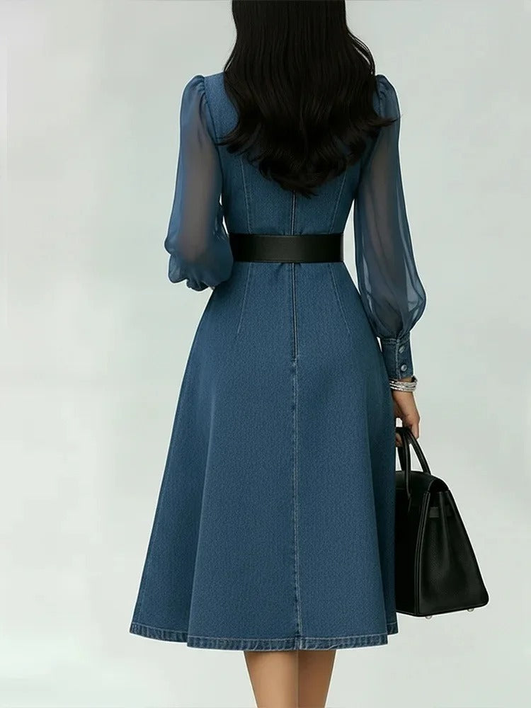 Cesarina denim dress with sheer sleeves