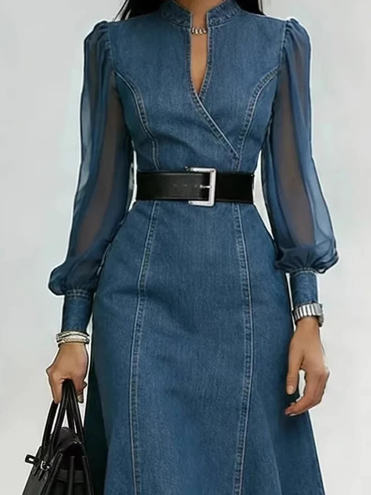 Cesarina denim dress with sheer sleeves